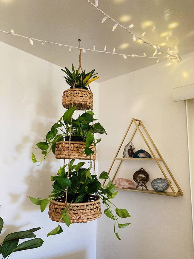 the basket being used as a plant hanger in all 3 tiers