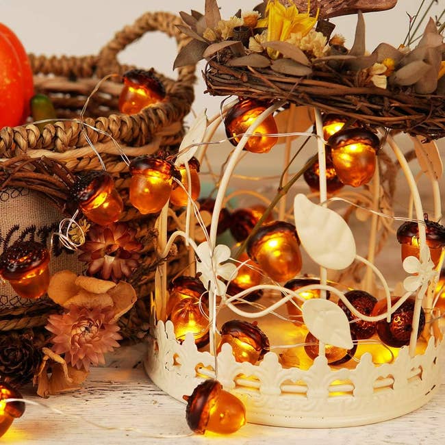 acorn string lights in table display