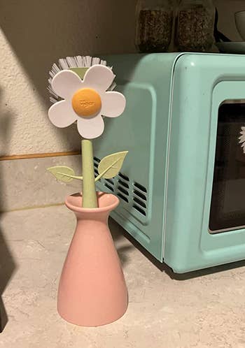 a achromatic  daisy shaped scrubber with its stem successful  a pinkish  vase 