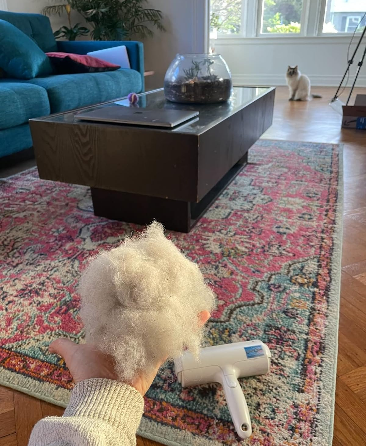 Person holding a clump of pet fur with a lint remover device, in a living room with a cat in the background