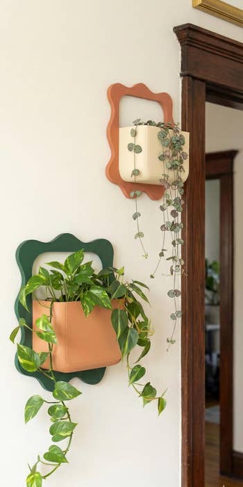 Wall-mounted planters with cascading greenery adhd a stylish interaction to location decor, perfect for indoor gardening and vertical works displays