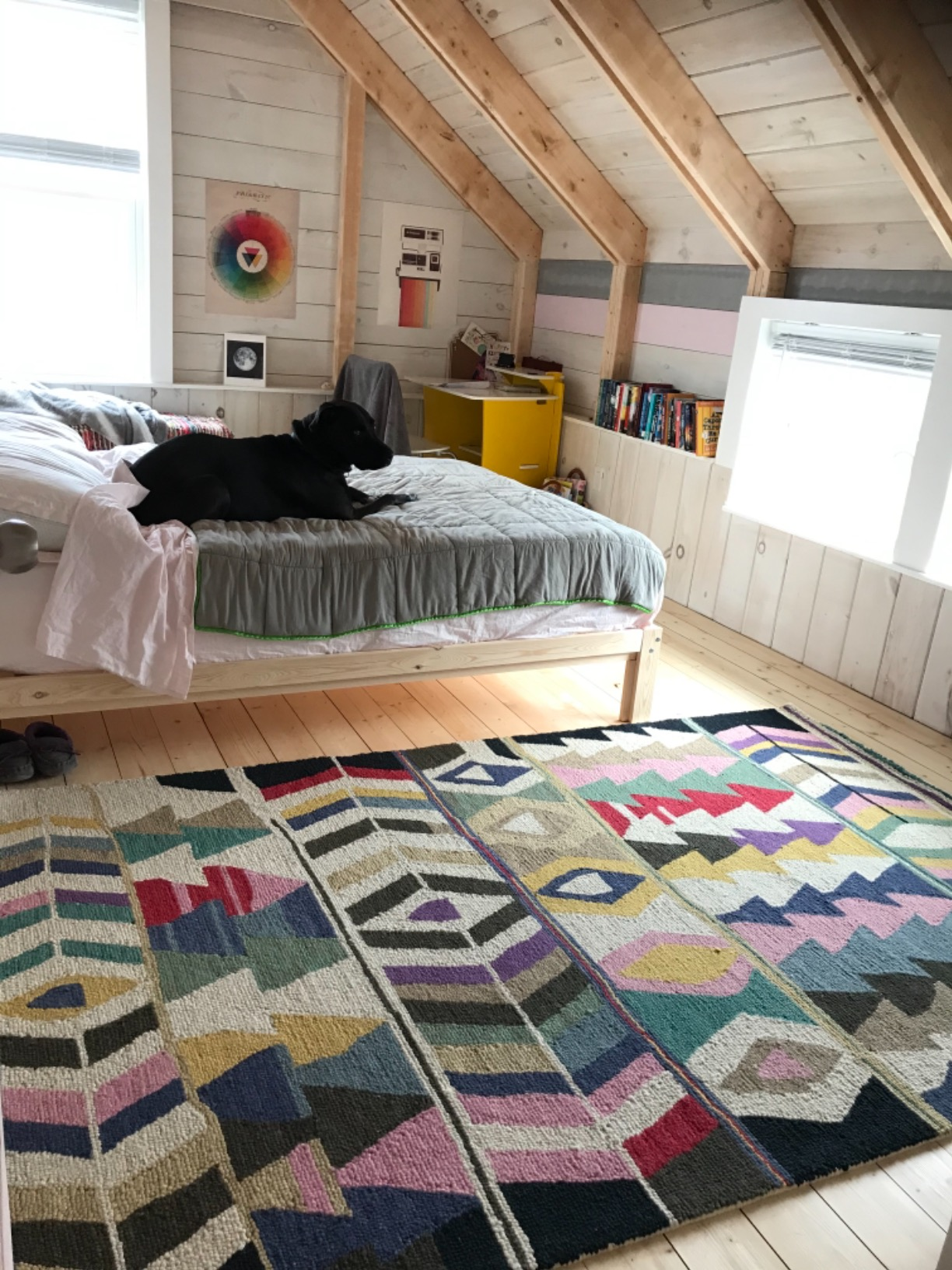 Black dog lying on a bed in a cozy attic bedroom with a large patterned area rug