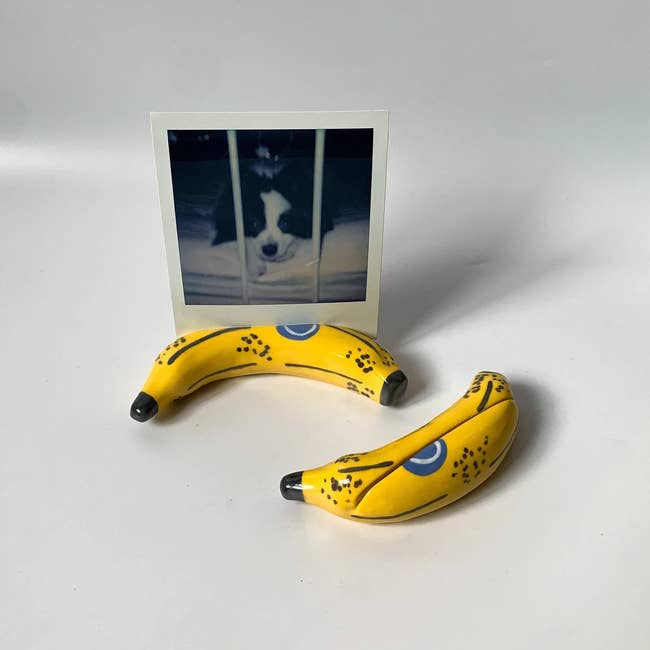 Photo of a canine successful a polaroid, held by a banana-shaped photograph holder
