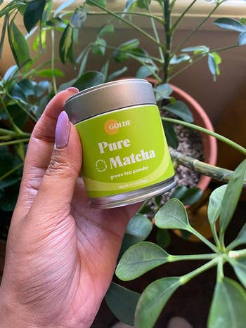 Hand holding a jar of Golde Pure Matcha green tea powder next to potted plants