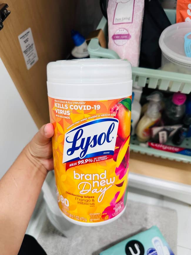 Person holds Lysol disinfecting wipes canister labeled