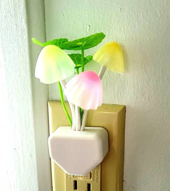 a reviewer's mushroom nightlight plugged into an outlet