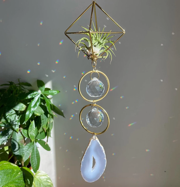 Image of the hanging sun catcher next to a plant