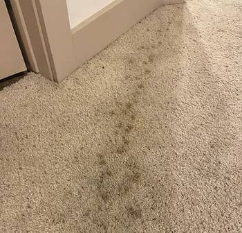 reviewer before photo of their wine-stained carpet
