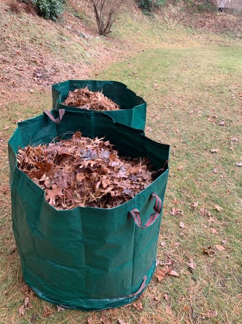 two green garden bags piled high with fall leaves