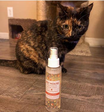 another reviewer showing the bottle of spray next to their cat