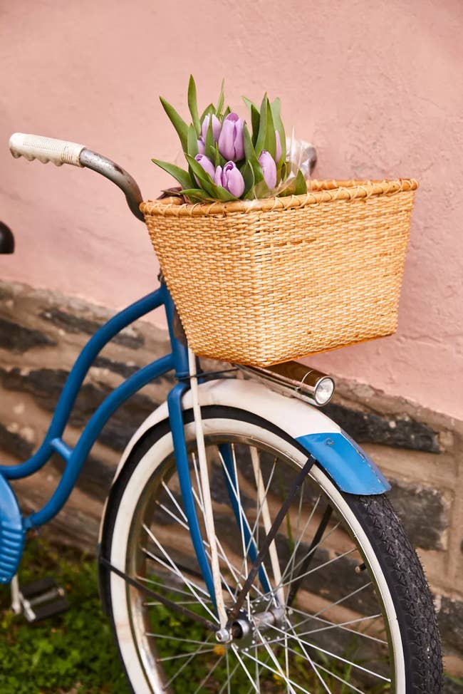 A straw colored woven square shaped bike basket attached to the front handle bars of a bike 