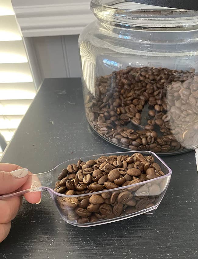 Reviewer holding transparent handled scoop full of coffee beans 