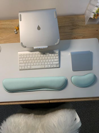 a eviwer with the light blue set on their desk