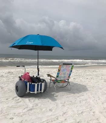 the blue umbrella set up on the beach