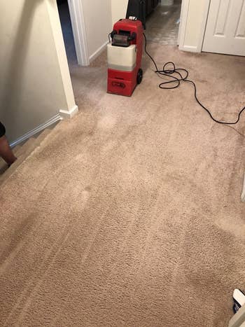 reviewer's carpet now clean