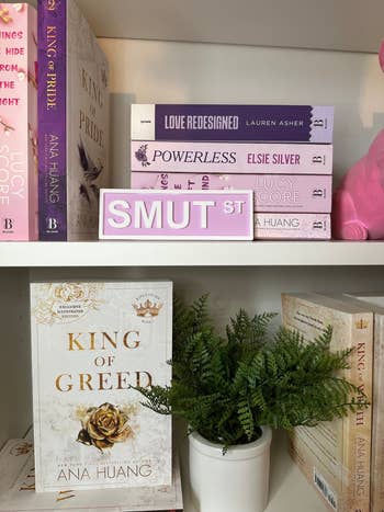 Books on a shelf with a decorative sign labeled 