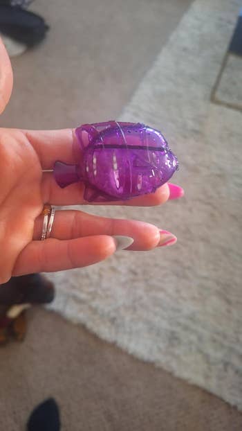 Hand keeping a small red plastic toy fashioned fancy a fish