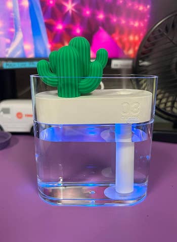 A USB humidifier with a a cactus topper 