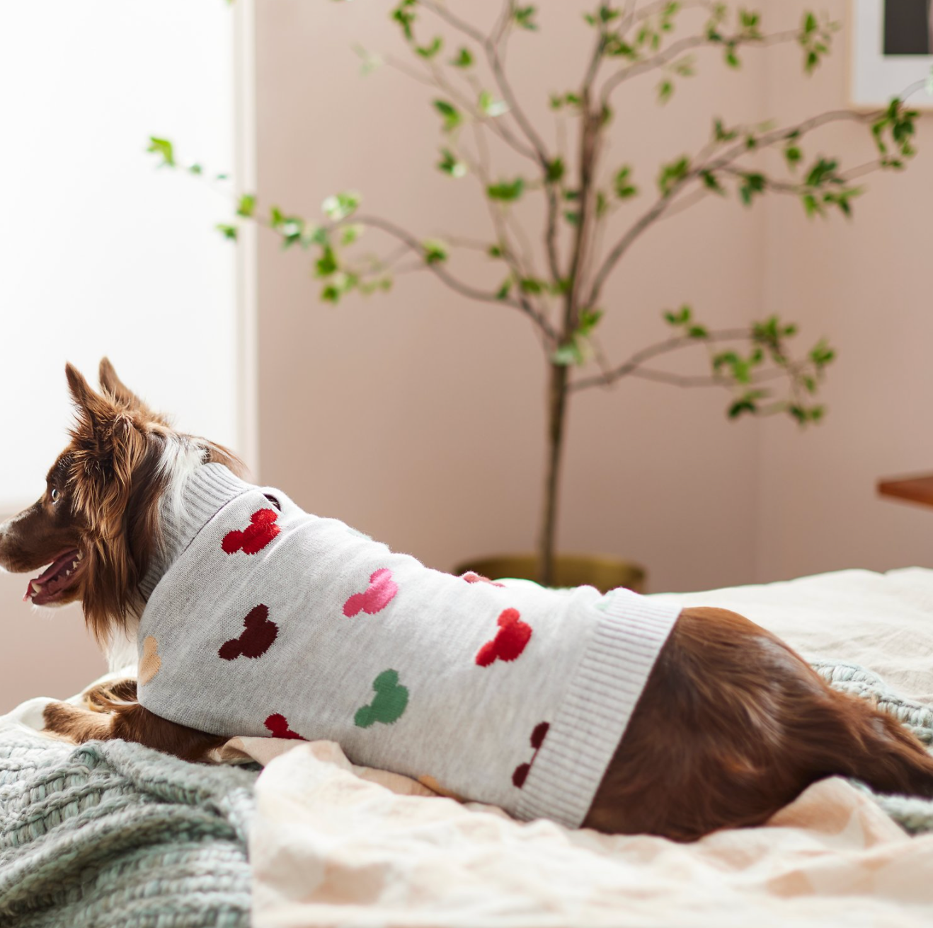 a dog in a gray sweater with colored mickey mouse icons on it