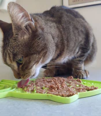 a cat licking food off the mat
