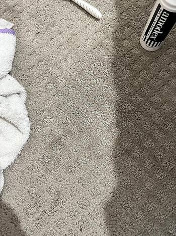 same area of rug without ink stain