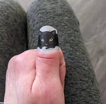 41 Weird Things To Create Your Own Oddity Museum
