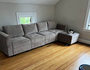 reviewer photo of gray L-shaped couch