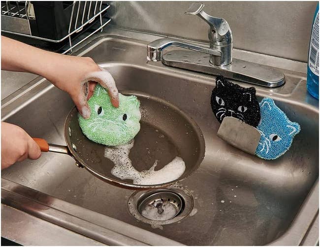 hands using green cat face sponge to scrub a ban with black and blue versions stored in the sink