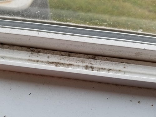 Reviewer before pic of their windowsill with dirt
