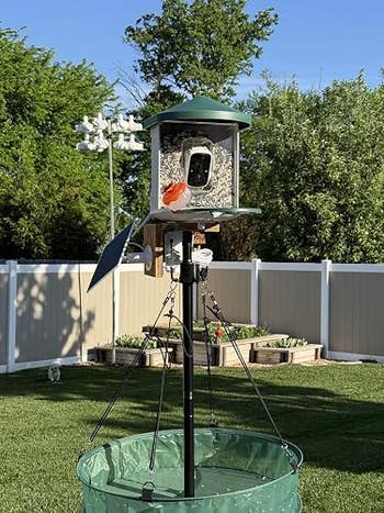 Bird feeder connected  a rod  with a star  panel, acceptable   successful  a grassy gait   with trees and a obstruction   successful  the background