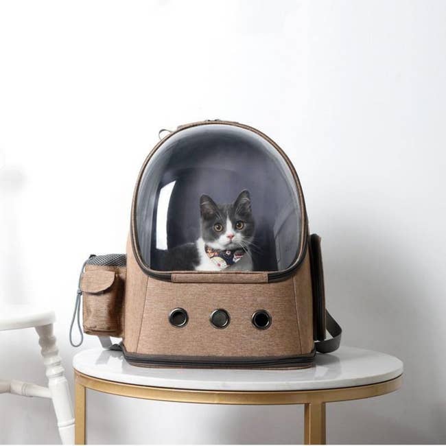 a gray and white cat sits inside the brown space capsule cat backpack