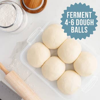 plastic container with six dough balls inside it