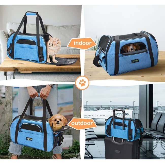Four images of blue pet carriers showing indoor and outdoor use with cats and dogs