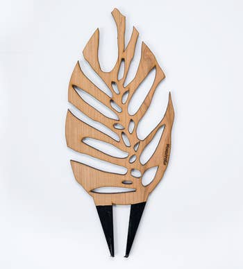 the trellis with stakes disposable