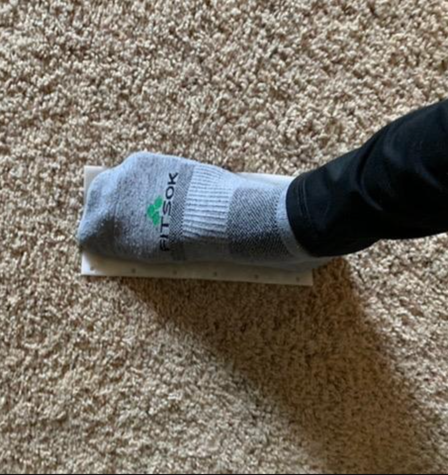 26 Best Carpet Cleaners For Pets