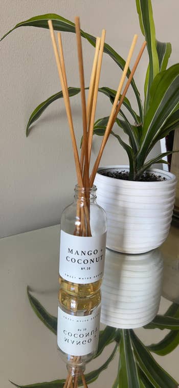 Reed diffuser with 