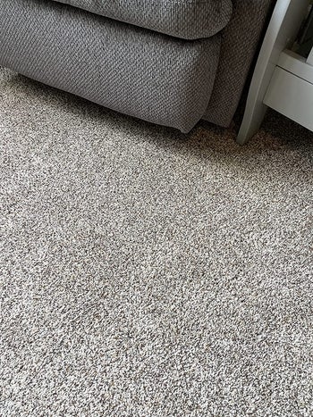 carpet without stain after using the stain remover 