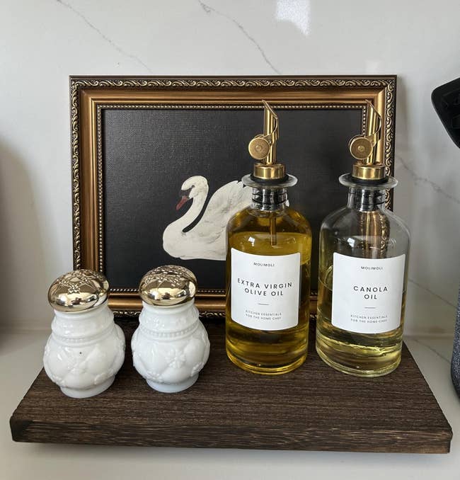 Two decorative lipid dispensers labeled arsenic other virgin olive lipid and canola lipid are displayed connected a support alongside 2 achromatic brackish and capsicum shakers