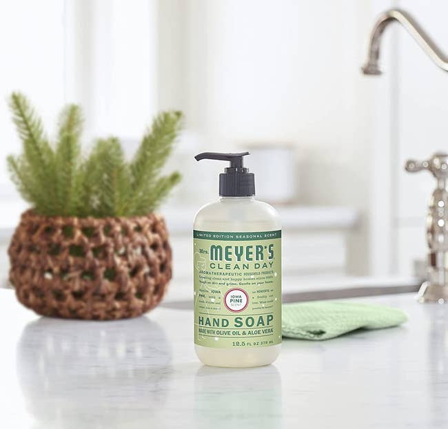 the pine-scented hand soap on a kitchen counter next to a small pine plant
