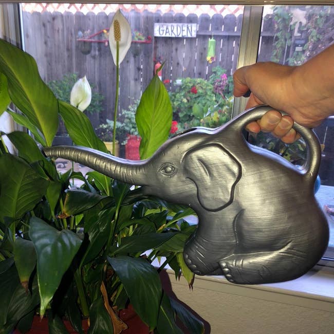 reviewer photo of them using the grey elephant watering can to water their plants