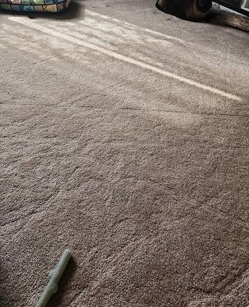 A reviewer's clean carpet after using the robovac