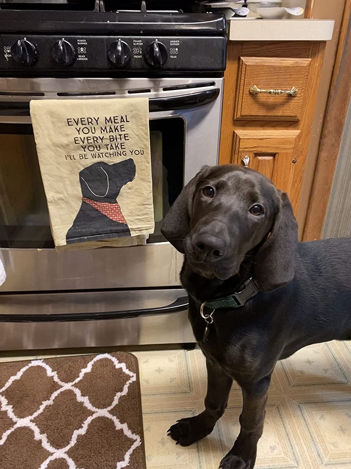 Reviewer image of dog next to dish towel that says 