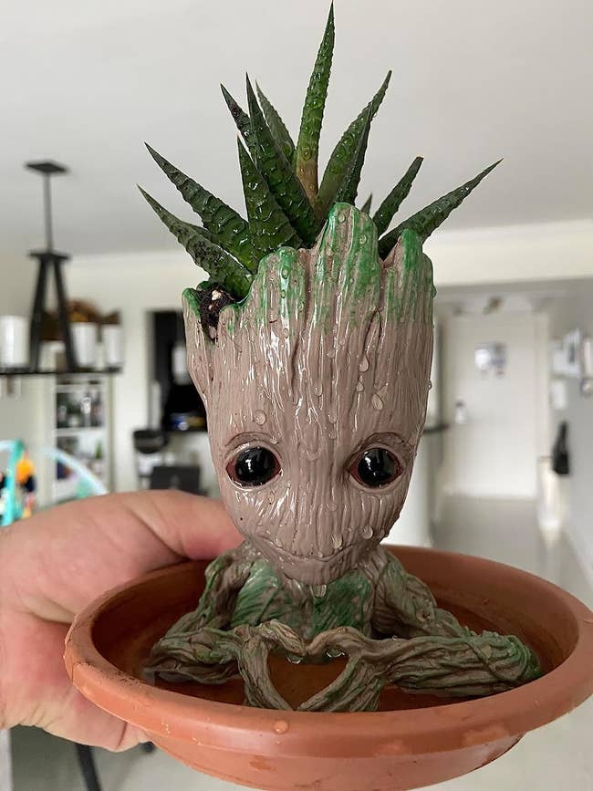 reviewer holding up groot planted with succulent in tray