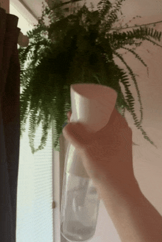 another reviewer using it to mist a hanging fer plant