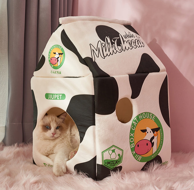 crazy cat beds