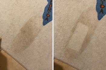  a rectangular stain connected  carpet is removed, showing effectual  cleaning results