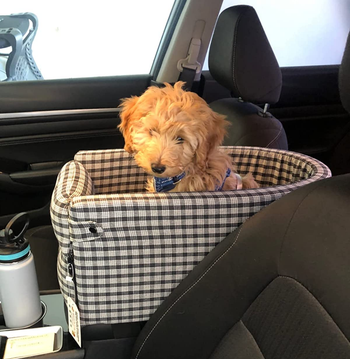 Reviewer image of puppy sitting inside plaid dog car seat in the center console of front of car