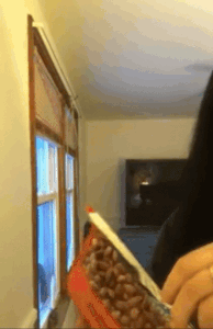 gif of a reviewer using the small grey device to reseal a bag of almonds and then turning it upside down to show it works