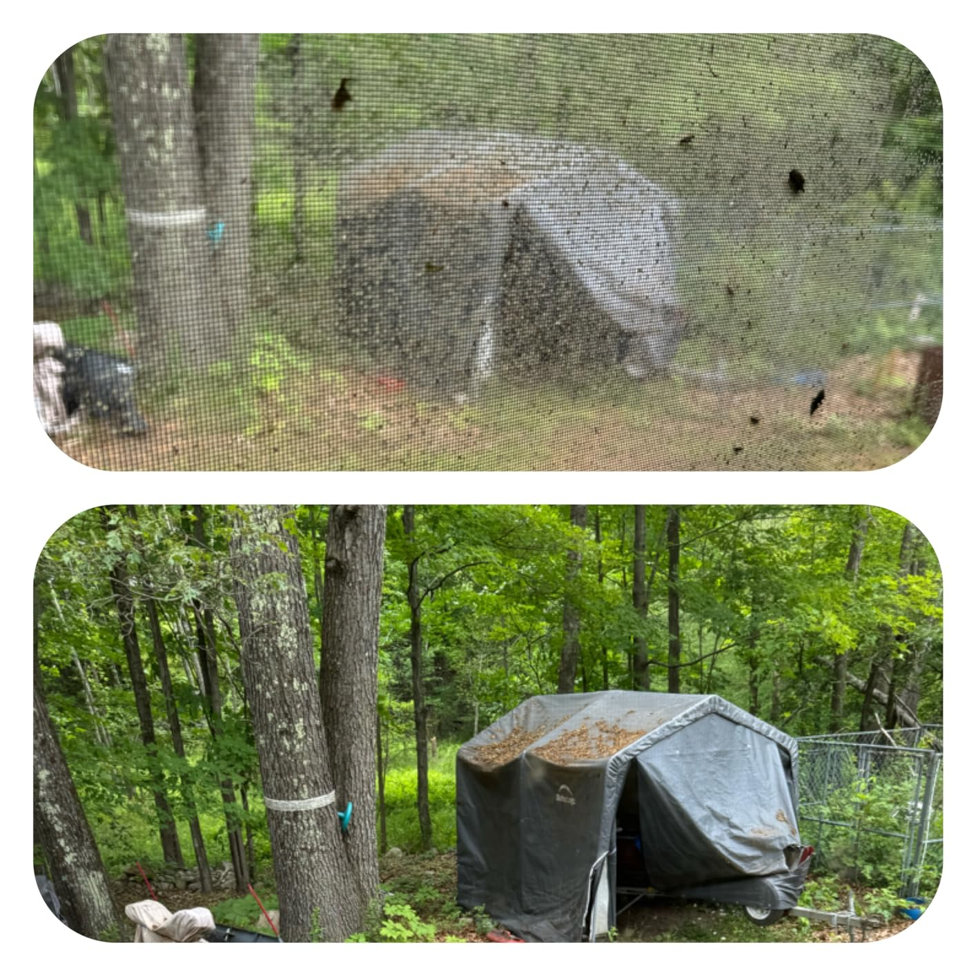 Post image 16