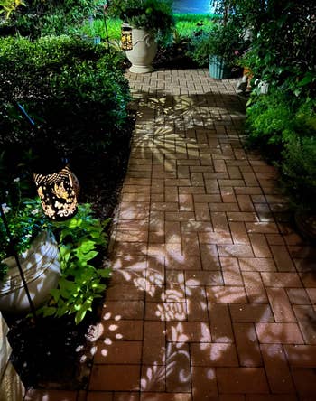 A plot  way  is illuminated by a decorative lantern  